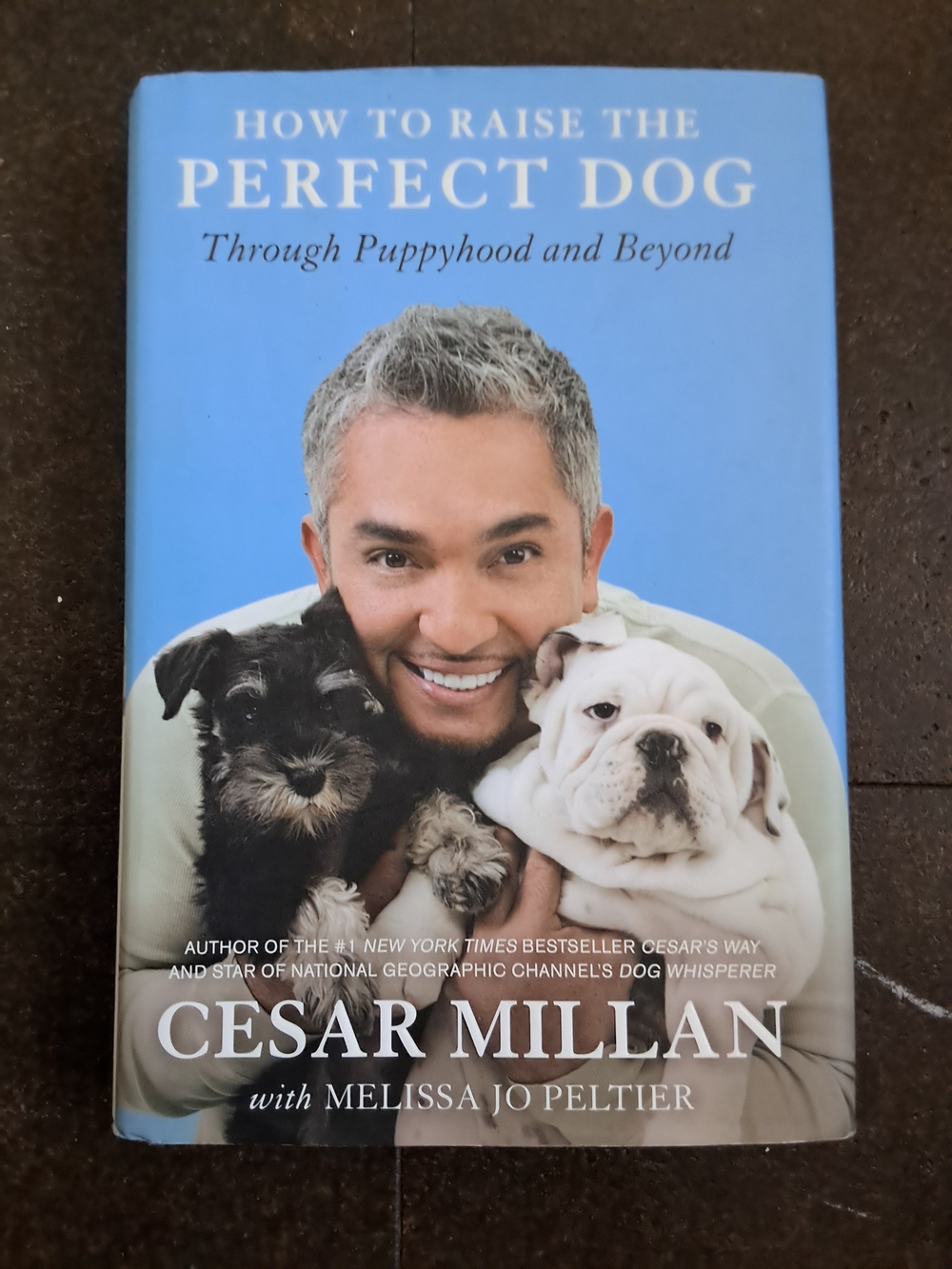 How to Raise the Perfect Dog by Cesar Millan
